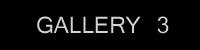 gallery 3