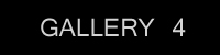 gallery 4
